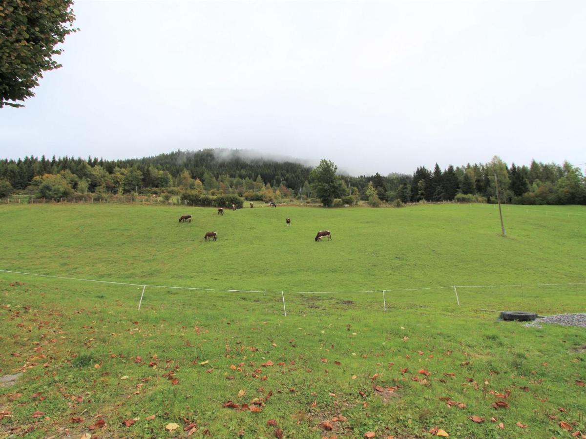 Beautiful Apartment In A Renovated Farmhouse In Fresach Carinthia Luaran gambar